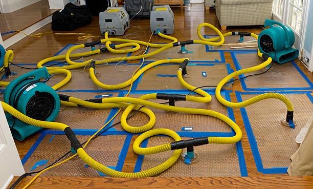 Professional Sewage Cleanup technician working in Waverly, MI